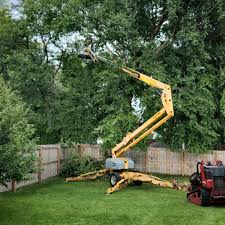 Best Tree Health Inspection  in Franklin, NH